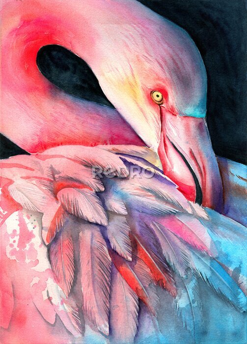 Fototapete Flamingo gemalt mit Aquarell auf einem dunklen Hintergrund