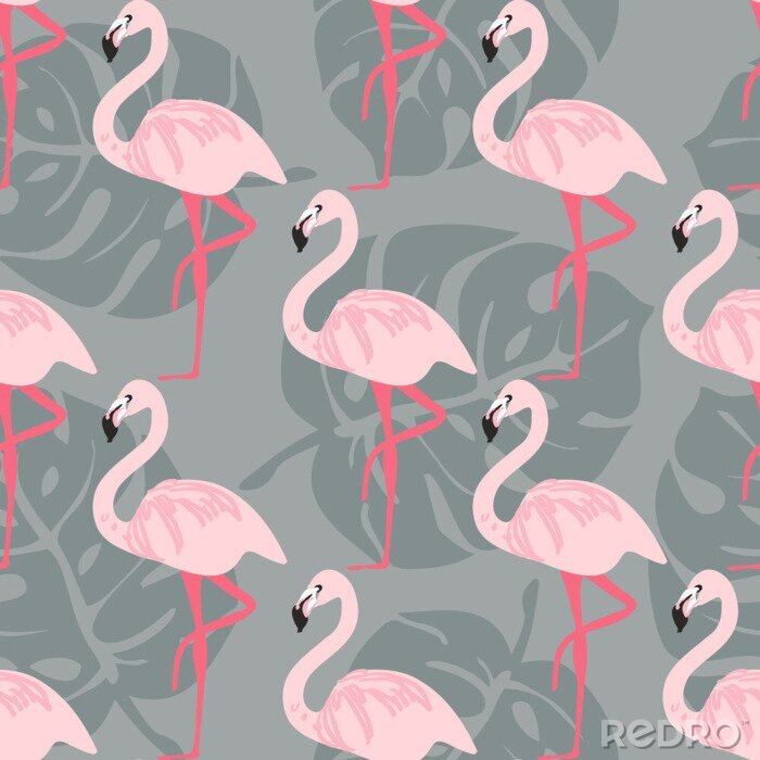 Fototapete Flamingos auf einem Bein