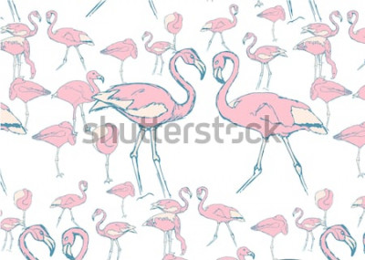 Fototapete Flamingos auf weißem Hintergrund