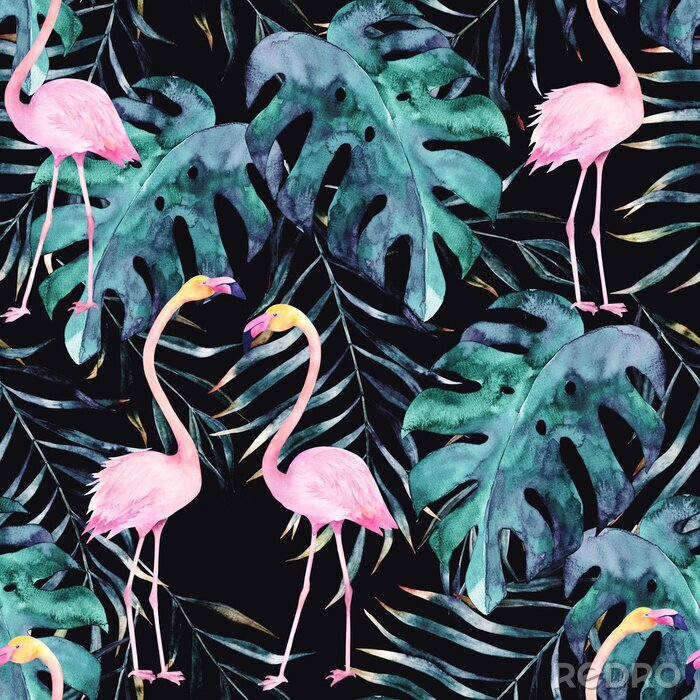 Fototapete Flamingos und Monsterblätter auf schwarzem Hintergrund