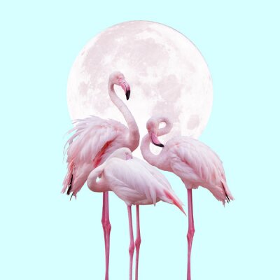 Flamingos vor dem Hintergrund des Mondes
