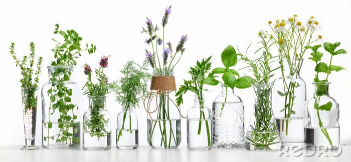 Fototapete Flasche ätherisches Öl mit Kräutern