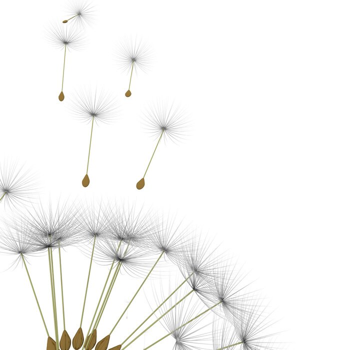 Fototapete Fliegende Pusteblumensamen