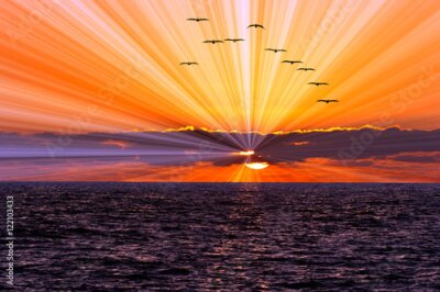 Fototapete Fliegende Vögel über dem Meer bei Sonnenuntergang