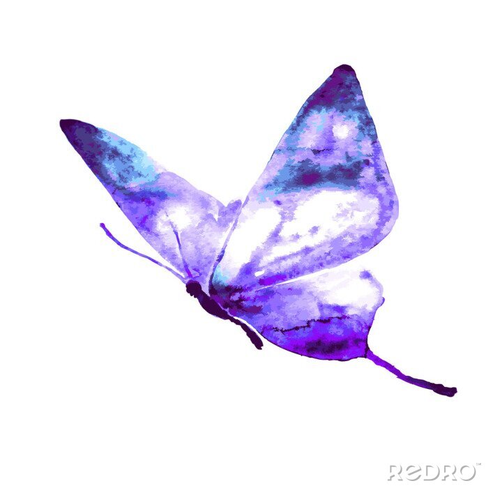 Fototapete fliegender Schmetterling in Aquarellfarbe