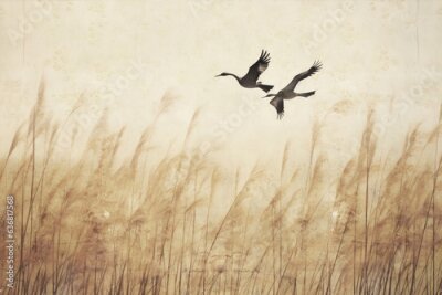 Fototapete Flock of birds flying .