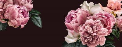 Fototapete Floral banner, flower cover or header with vintage bouquets. Pink peonies, white roses isolated on black background.