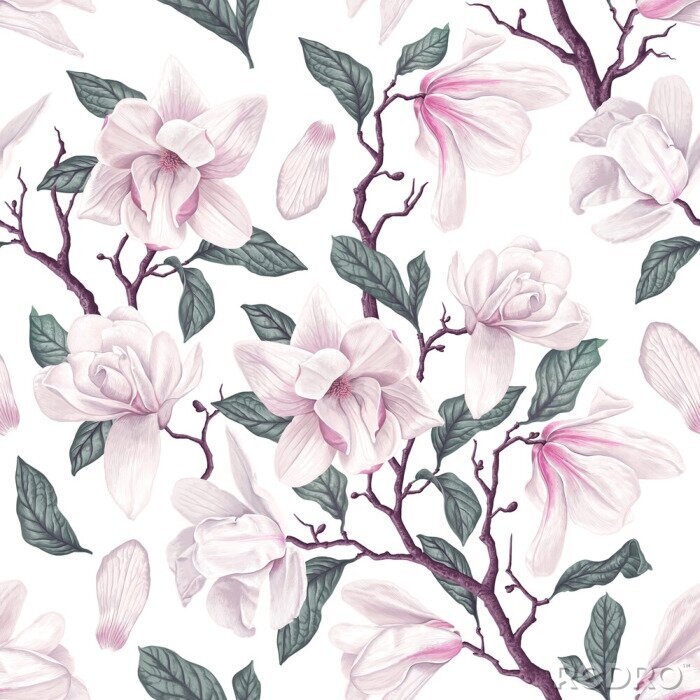 Fototapete Floral seamless pattern with white Anise magnolia flowers, leaves and petals on white background. Pastel vintage theme with realistic, vector, spring flowers for fabric, prints, greeting cards.