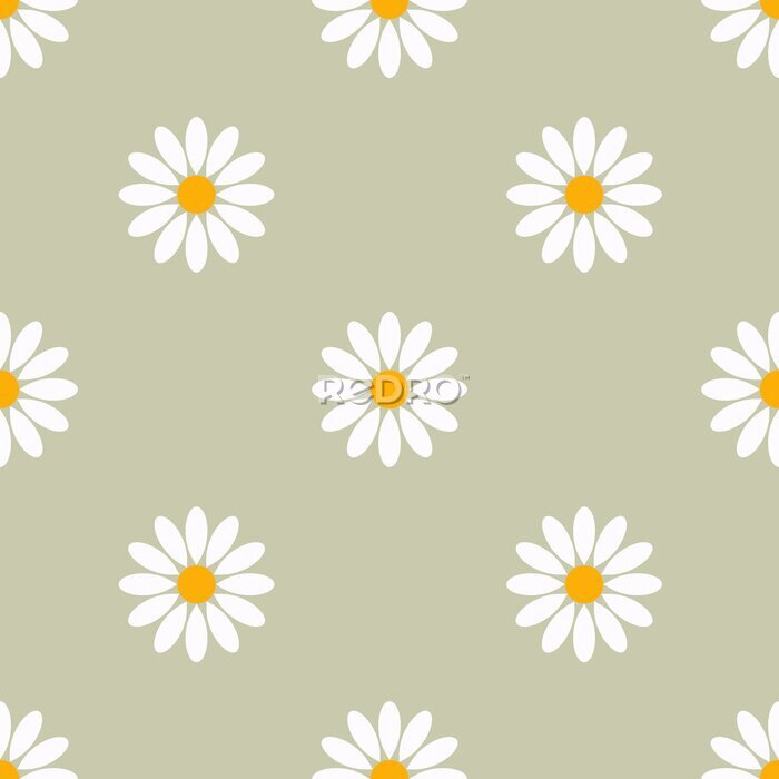 Fototapete Floral stylish seamless pattern of camomiles.