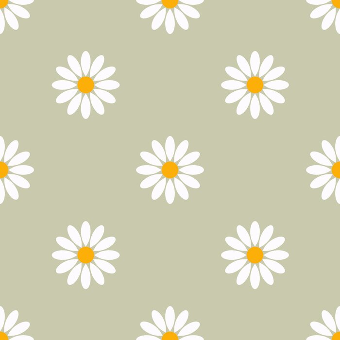 Fototapete Floral stylish seamless pattern of camomiles.
