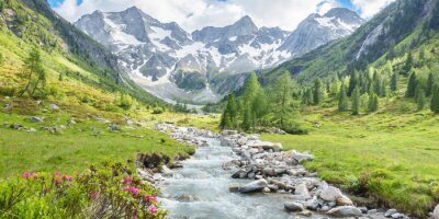 Fototapete Fluss mit Berglandschaft im Hintergrund
