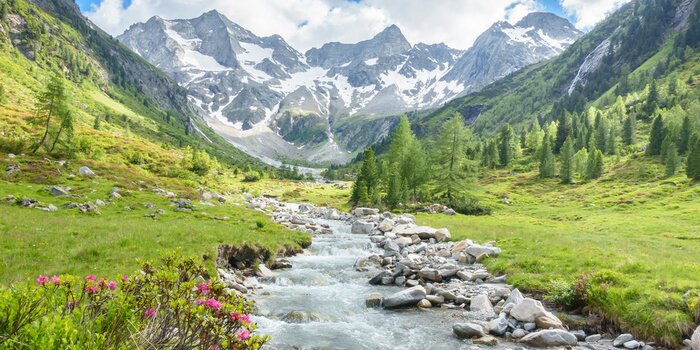 Fototapete Fluss mit Berglandschaft im Hintergrund