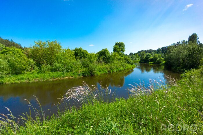 Fototapete Fluss und grüne Landschaft