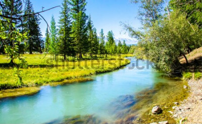 Fototapete Fluss und Wald
