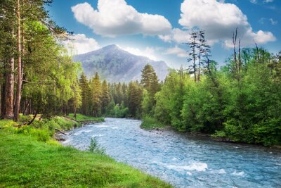 Fototapete Fluss und Wald in den Bergen