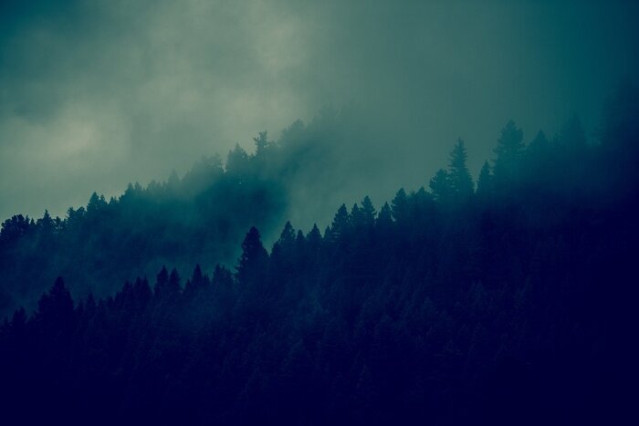 Fototapete Foggy Wald Hintergrund