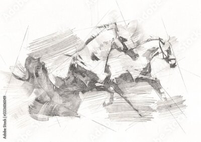 Fototapete Freehand horse head pencil drawing