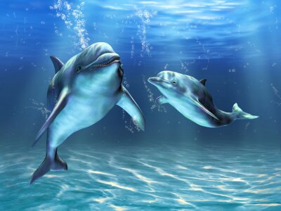 Fototapete Freundliche Delfine
