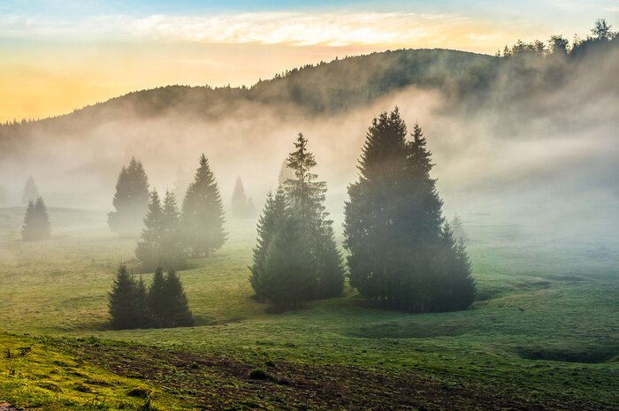 Fototapete Frischer bergmorgen