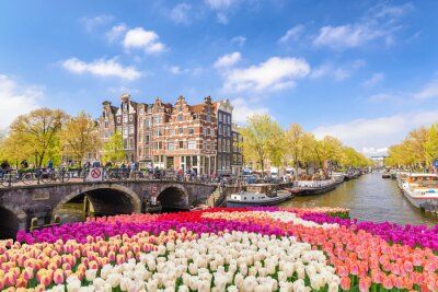 Frühling und bunte Blumen in Amsterdam