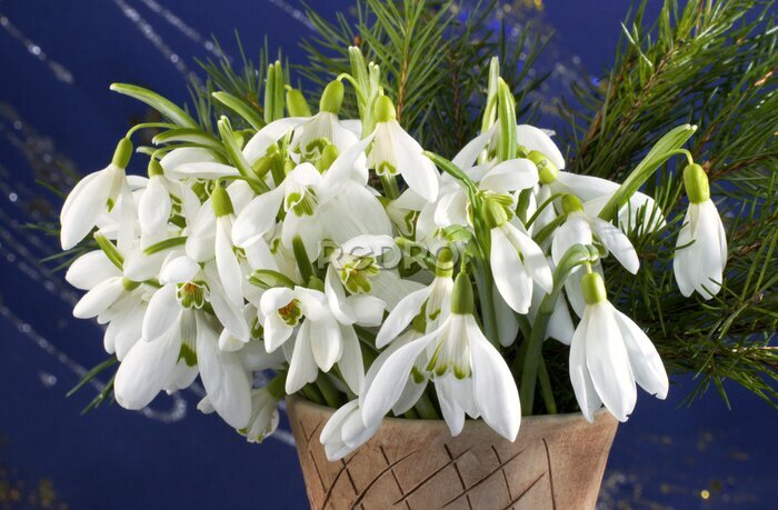 Fototapete Frühling Urlaub Schneeglöckchen Blumenstrauß in Vase Ton