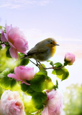 Fototapete Frühlingslandschaft mit Rosen und Vogel