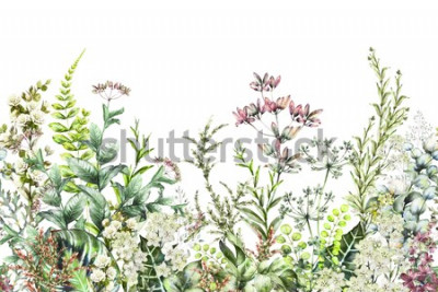 Fototapete Frühlingspflanzen und Kräuter auf der Wiese