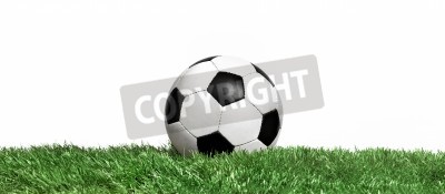 Fototapete Fußball auf dem Rasen