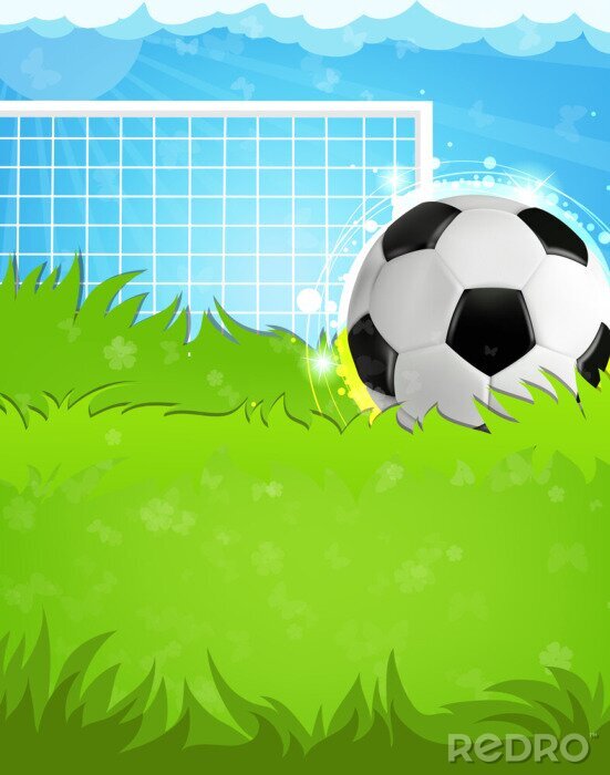 Fototapete Fußball im hohen Gras