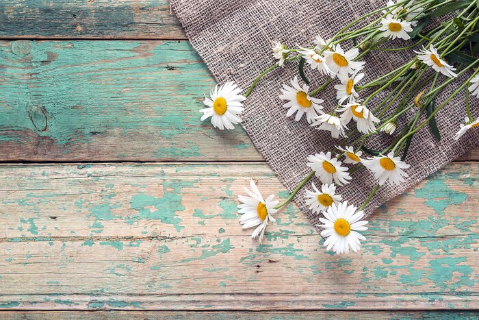 Fototapete Gänseblümchen auf Holz
