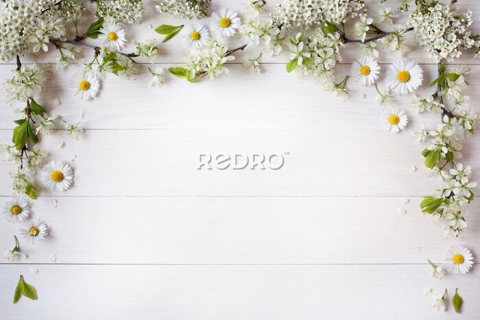 Fototapete Gänseblümchen bilden einen Rahmen auf weißen Tafeln