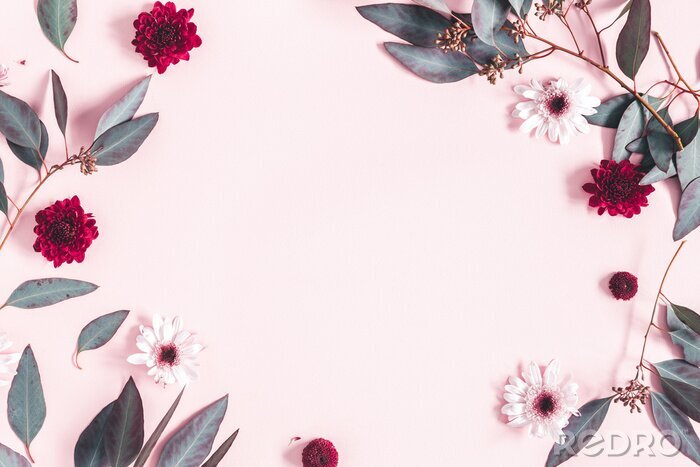 Fototapete Gänseblümchen und Blätter auf einem rosa Hintergrund