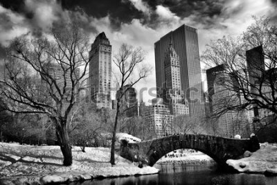 Fototapete Gapstow Bridge im Central Park im Winter