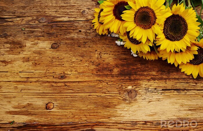 Fototapete Gartensonnenblumen auf Holzbrett