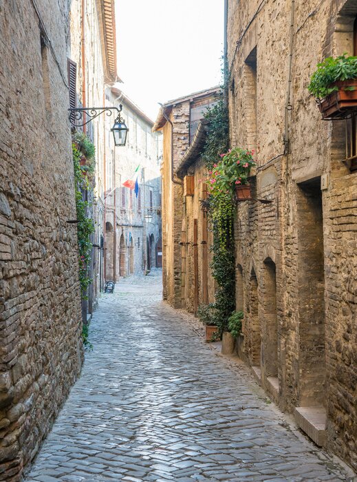 Fototapete Gasse mit Blumen bei Fenstern