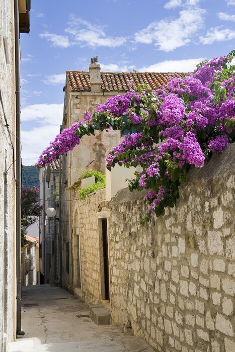 Fototapete Gasse mit Blumen in Rab