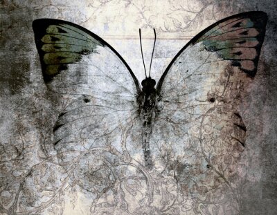 Fototapete Gealterter Hintergrund und Schmetterling