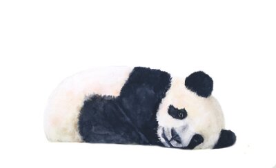 Gedankenverlorener Panda Aquarell