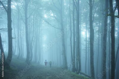Fototapete Gehen Sie nach Santiago