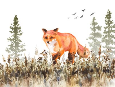 Gehende rote Fox-Skizze