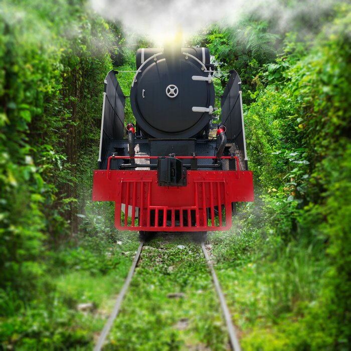 Fototapete Geisterzug im dichten Wald