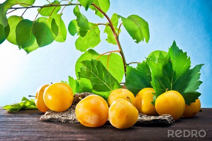 Fototapete Gelbe Pflaumen