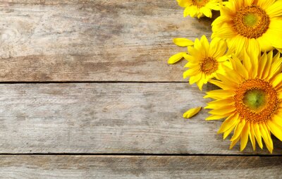 Fototapete Gelbe Sonnenblumen auf Holz