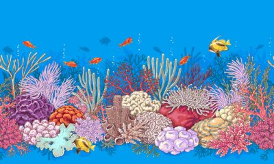 Gemaltes Korallenriff