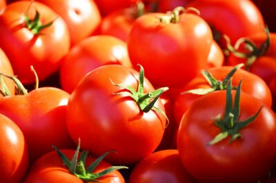 Fototapete Gemüse Tomaten im Makromaßstab