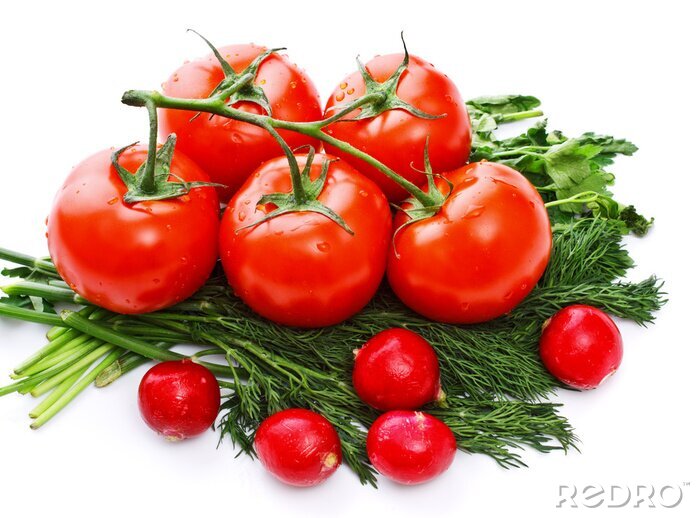 Fototapete Gemüse Tomaten und Dill