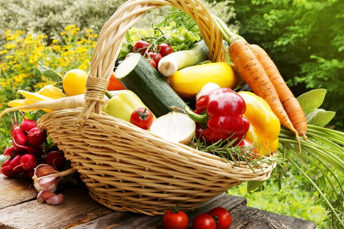 Fototapete Gemüsekorb im Garten