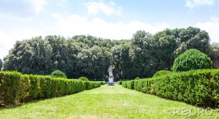Fototapete Gepflegter italienischer Garten