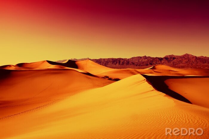 Fototapete Geschnittene Pizza