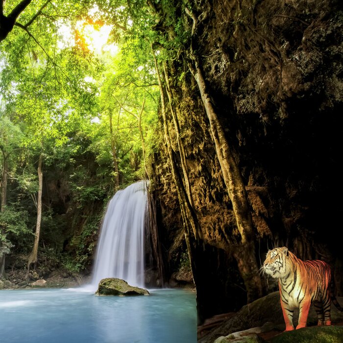 Fototapete Gestreiftes Tier unter Wasserfall